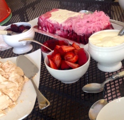 Berry icecream, fresh berries, pavlova and cream - with Persian fairy floss.