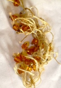 The amber crystals accompanying the bugle beads.